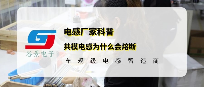 蘇州谷景電子有限公司 1